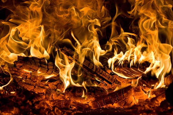 stock image Fire