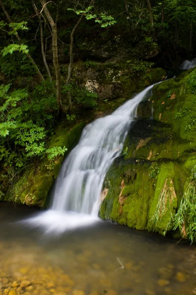 stock image Waterfall