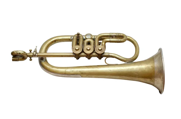 Antiguo instrumento musical vintage — Foto de Stock