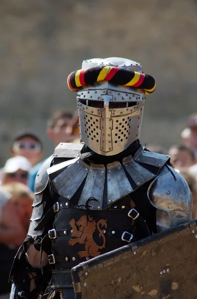 Ortaçağ Avrupa şövalye — Stok fotoğraf