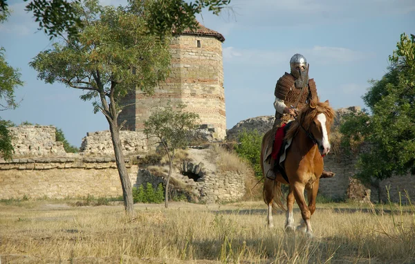Ortaçağ Avrupa şövalye kale — Stok fotoğraf