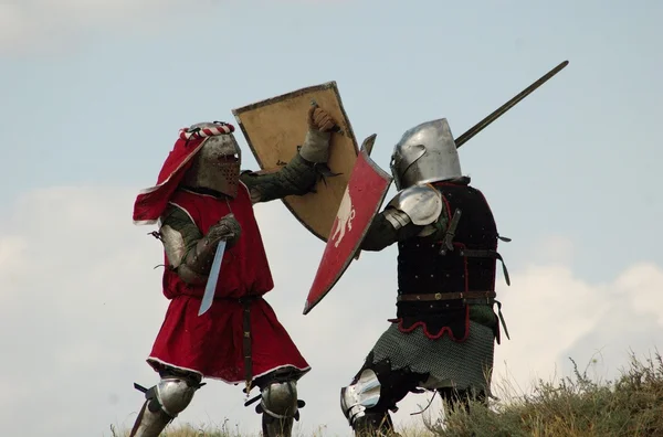 Lotta di cavalieri medievali Immagini Stock Royalty Free