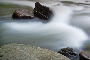 tellico Nehri akan su