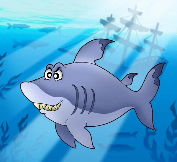 Großer blauer Hai mit Schiffbruch — Stockfoto