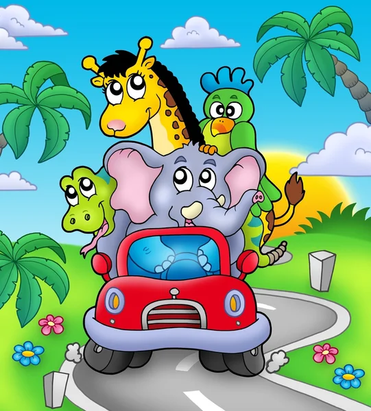 African animals in car on road — Stock Photo, Image
