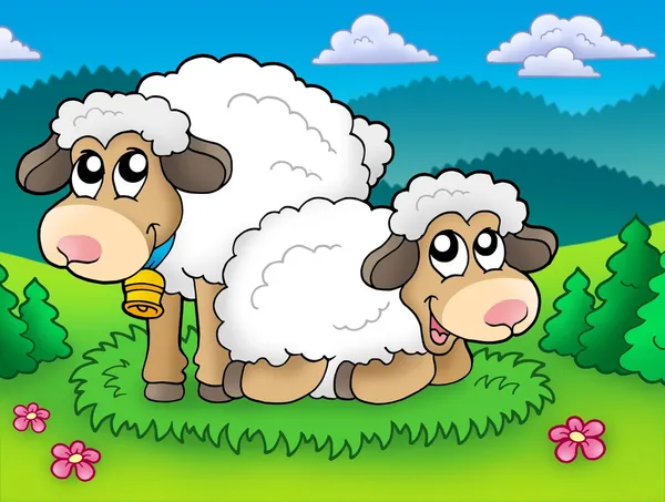 Dvojice roztomilý ovce na louce — Stock fotografie