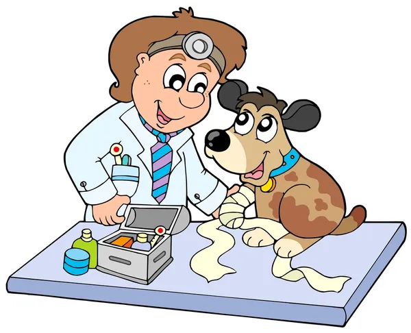Dog with sick paw at veterinarian — Stock Vector