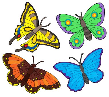 Butterfly collection clipart