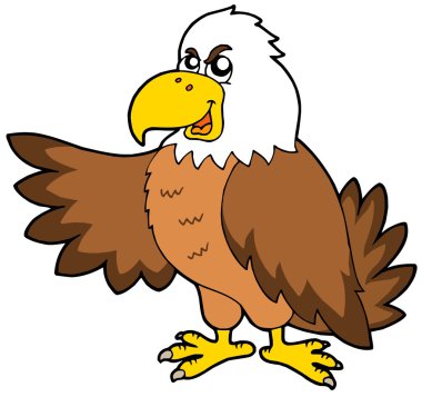 Cartoon eagle clipart