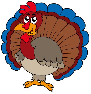 Cartoon turkey clipart