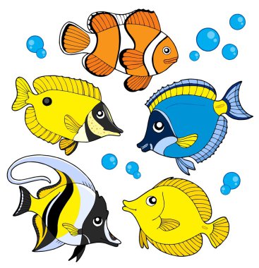 Coral fish collection clipart