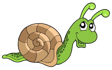 Cute snail clipart