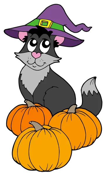 Cat with hat and pumpkins — Stock Vector