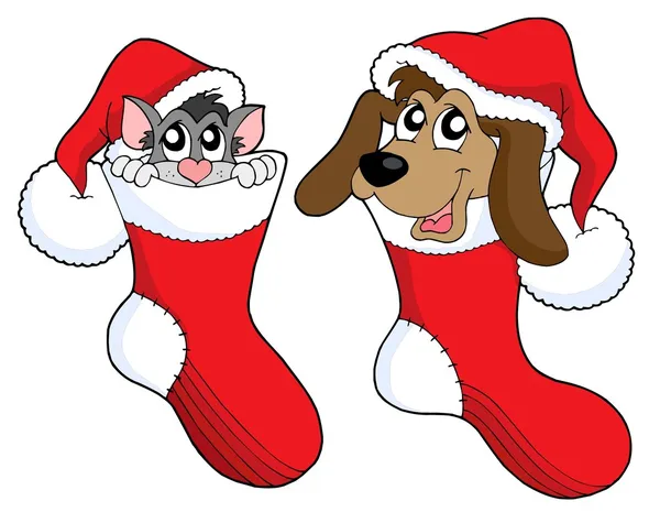 Cute cat and dog in Christmas socks — Stock Vector