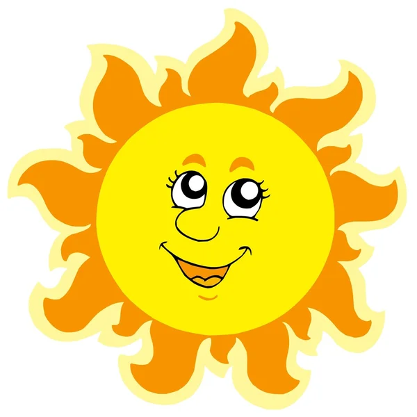 Cute summer Sun — Stock Vector