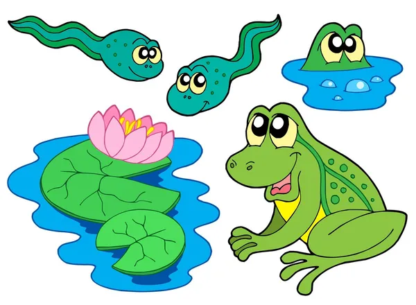 Frog collection — Stock Vector