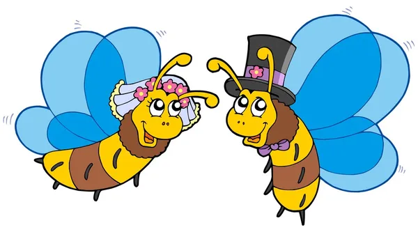 Miel abejas boda pareja — Vector de stock