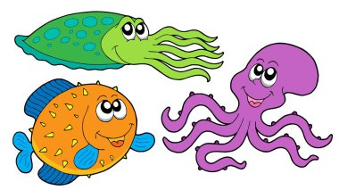 Marine species collection clipart