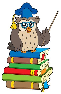 Owl teacher and books clipart