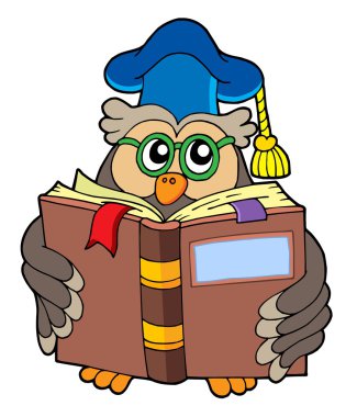 Owl teacher reading book clipart