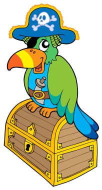 Pirate parrot sitting on chest clipart