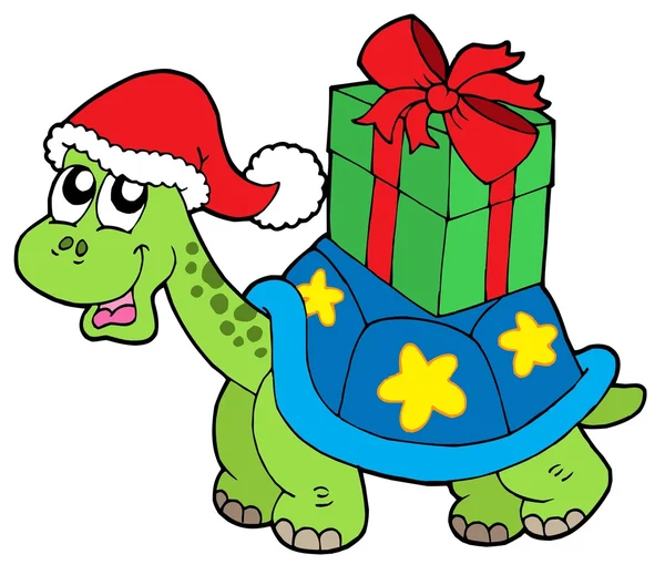 Christmas turtle with gift — Stock Vector