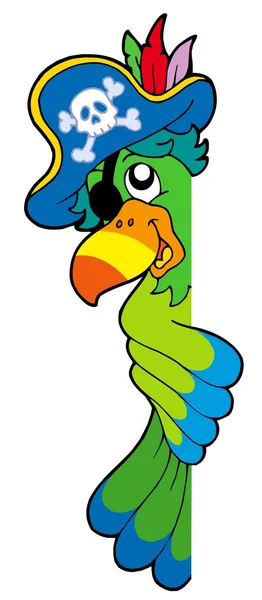 Lurking pirate parrot — Stock Vector
