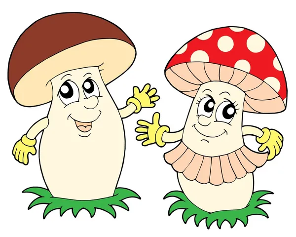 Mushroom and toadstool — Stock Vector