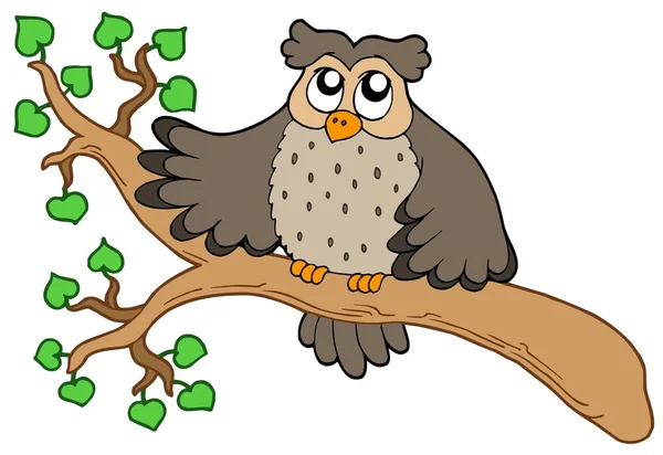Owl on branch — Stock Vector