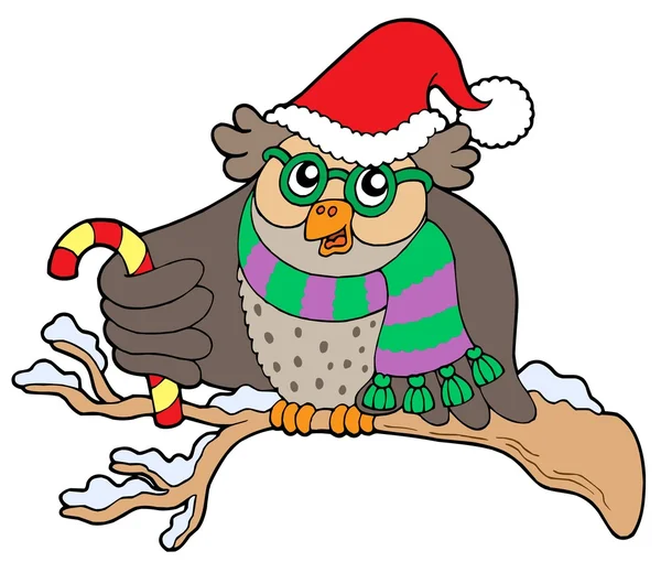Αναπαράσταση της OWL σε Χριστούγεννα στολή — Διανυσματικό Αρχείο