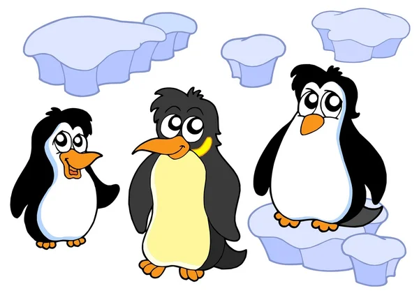 Colección de pingüinos — Vector de stock