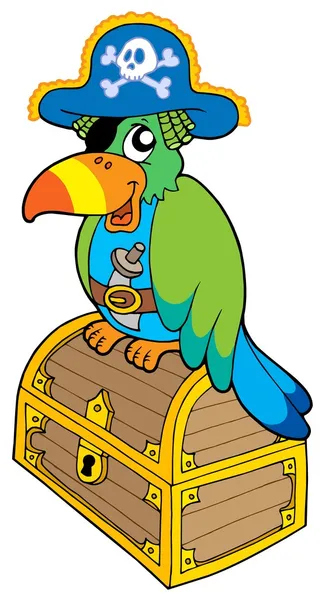 Pirat papegoja sitter på bröst — Stock vektor