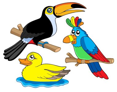 Various birds collection 01 clipart