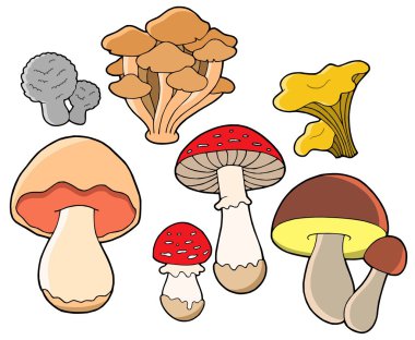 Various fungi collection clipart