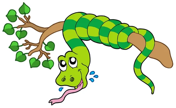 緑豊かな枝に蛇します。 — ストックベクタ