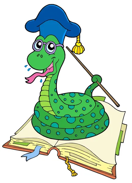 Учитель змей в открытой книге — стоковый вектор