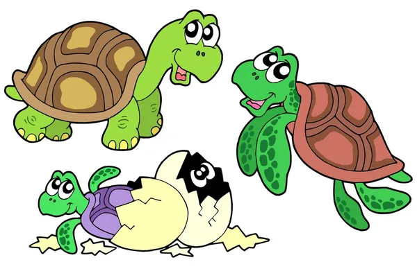 Συλλογή χελώνες — Διανυσματικό Αρχείο