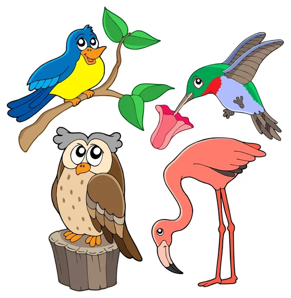 Collezione Vari uccelli 02 — Vettoriale Stock
