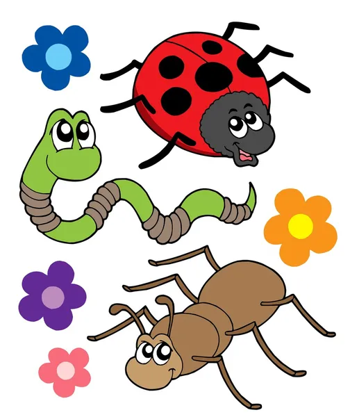 Raccolta di insetti vari — Vettoriale Stock