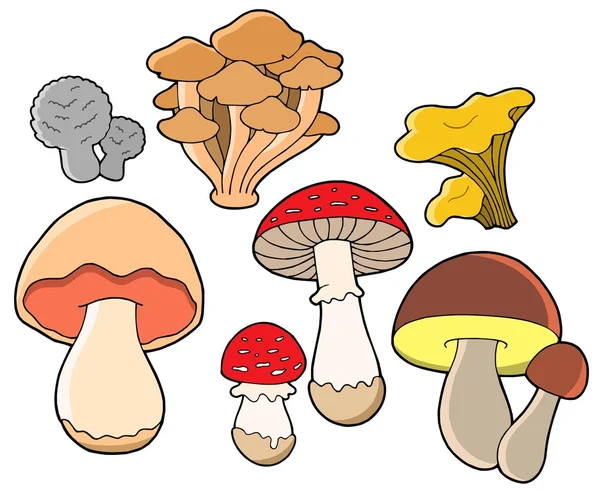 Различные коллекции грибов — стоковый вектор