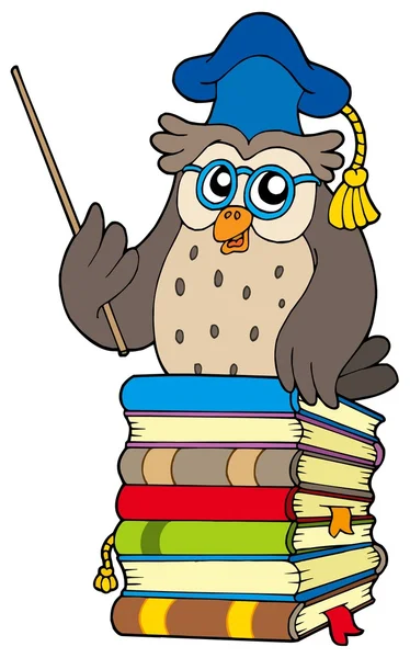 Wise owl teacher on books — Stock Vector