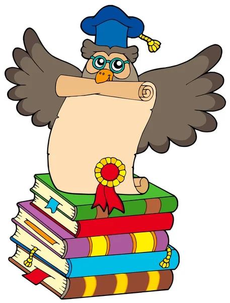 Wise owl with diploma and books — Stock Vector