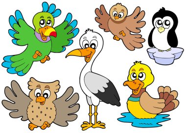 Cute birds collection 2 clipart