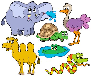 Tropical animals collection clipart