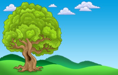 Landscape with big leafy tree clipart