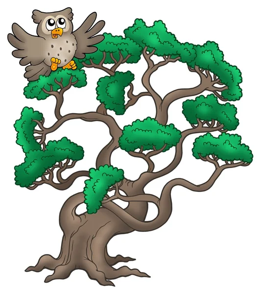 与卡通猫头鹰有棵大松树 — 图库照片