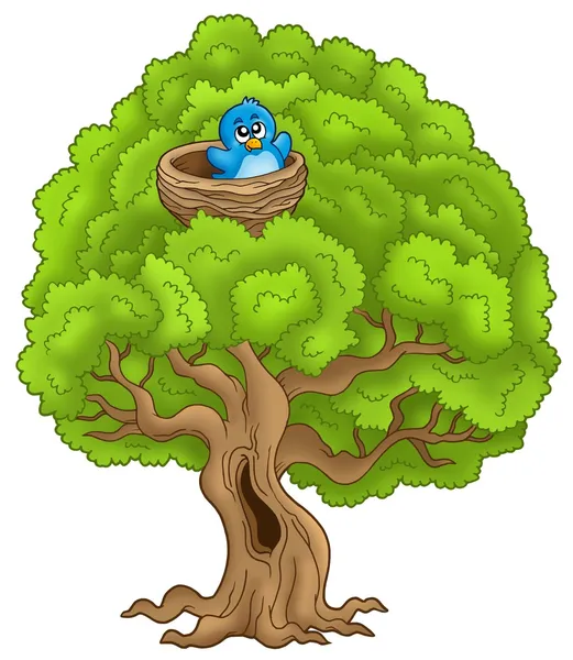 Grande árvore com pássaro azul no ninho — Fotografia de Stock