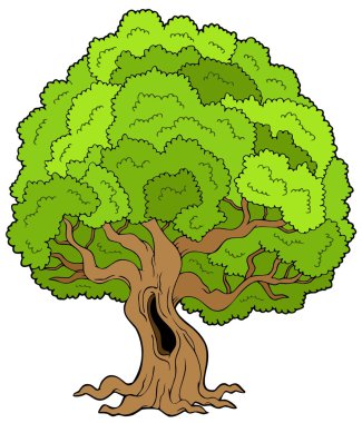 Big leafy tree clipart