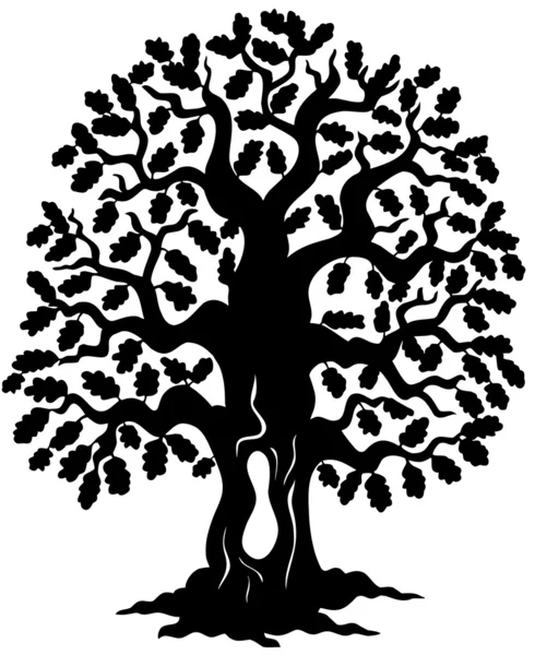 樫の木のシルエット — ストックベクタ