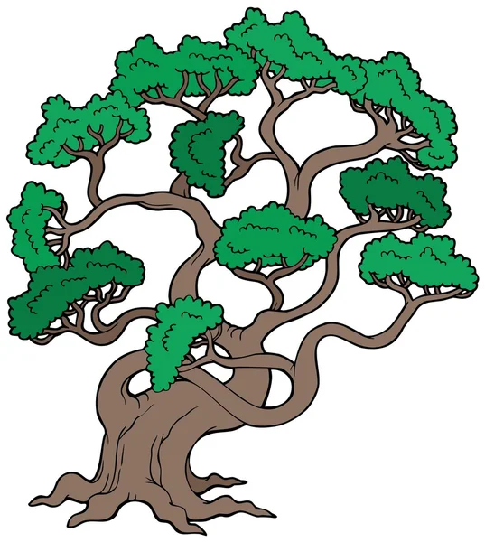 大きな松の木 — ストックベクタ